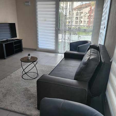 Residence Alpes آنسي المظهر الخارجي الصورة
